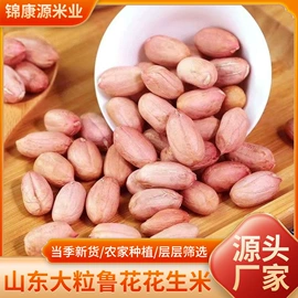 玉米;生花生;高粱类