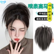 Claw Clip Chicken Nest Marble Head High Ponytail Hair抓夹鸡