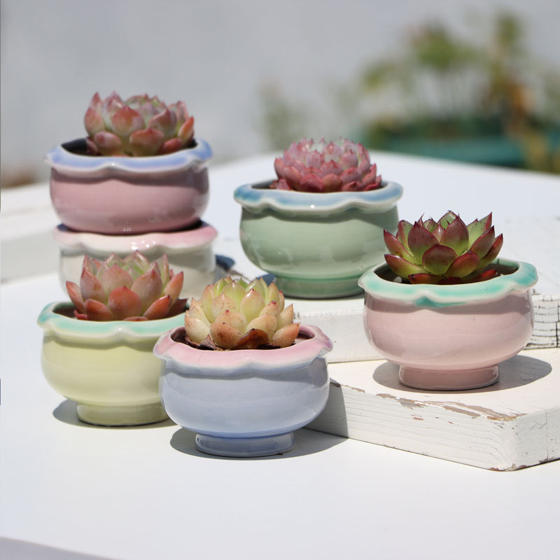 New Ice-Cracked Light-Loving Pot with Exquisite Lace Ceramic Succulent Pot, Coarse Pottery Breathable Thumb Pot for Controlling and Nourishing Succulents