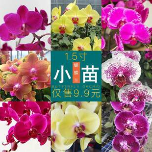 1.7������mС��냺�����ڌ������m���� �Gֲ�����҃��k��������