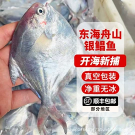 鱼类;鱼类零食;虾类