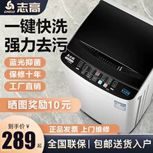 志高洗衣机全自动家用小型迷你租房宿舍洗热烘干一体波轮节能
