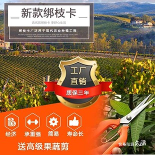 �¿����ѽ�֦���J���ҿ����ϻ��״���֦�C���z���۽��ι�����