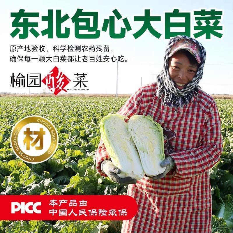 榆园酸菜正宗东北特产酸菜丝新鲜酸白菜整颗芯乳酸菌发酵烧烤商用|undefined