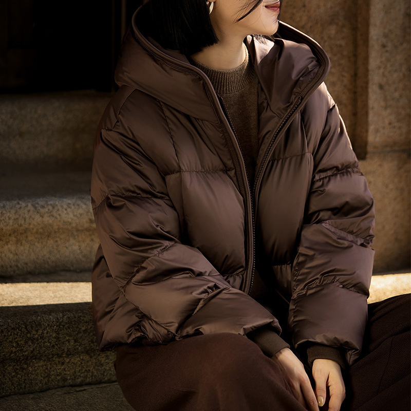 衣录现货白鹅绒立领连帽羽绒服女装冬季新款鹅绒服外套一件代发