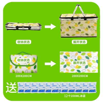 Kempinq və səyahət — insulated storage box, carrying basket - green-leaf-large-combo-set-picnic-basket-picnic-mat-includes-12-ice-packs