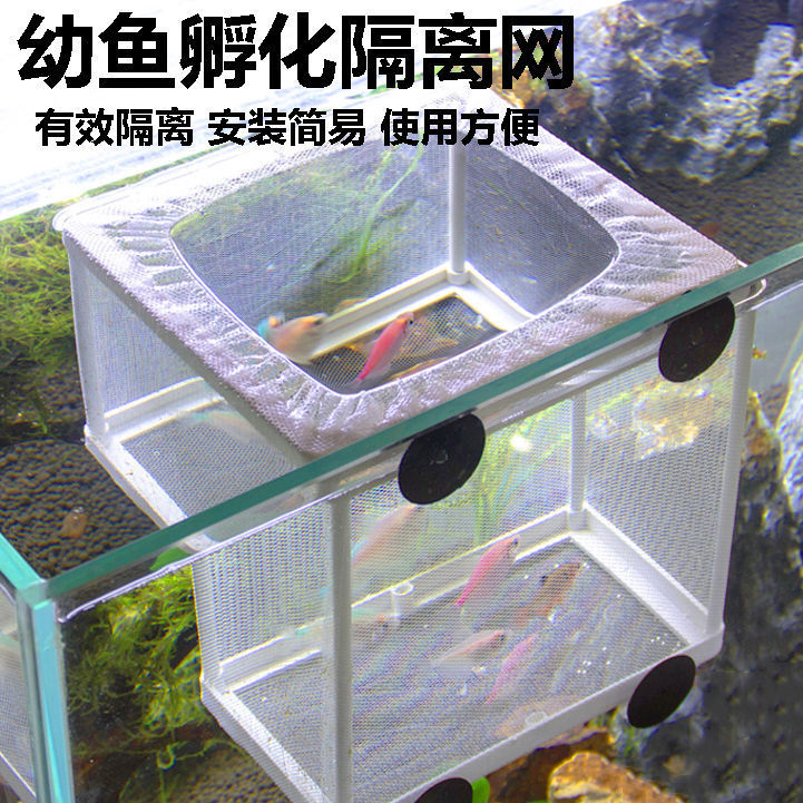 【Promotion】Fish Tank Isolation Net Aquarium Isolator Isolation Box Net Incubator Breeding Box for Hatching Fish and Ornamental Fish