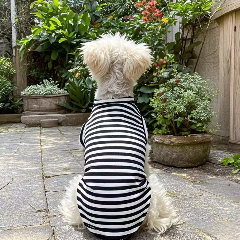 Verano delgado chaleco de rayas de mascotas Schnauzer Teddy Bear Boomerang VIP perros pequeños ropa de perro