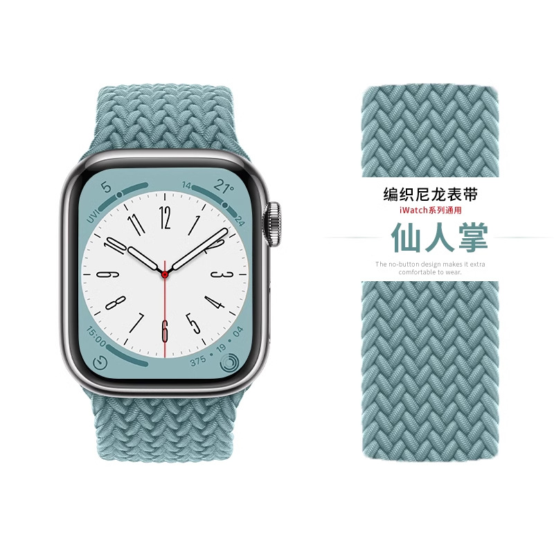 선인장 [2023년 신색 최초] - 다이얼 38/40/41MM - 00