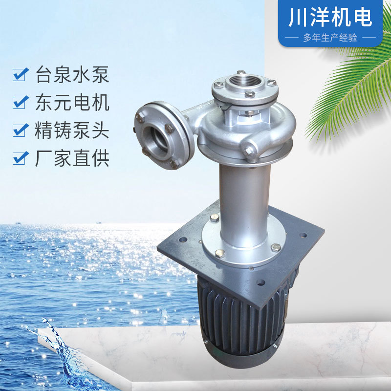 台泉牌耐腐蚀不锈钢304直立式液下循环泵 可空转 可加延长管