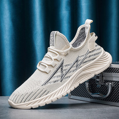 Wenzhou Feizhi Sports Shoes Wholesale Summer Breathable Mesh Running Shoes Men's Shoes Street Daily Travel Shoes