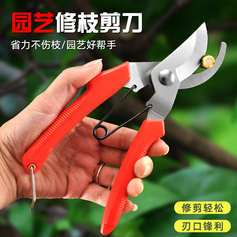 飞宝不锈钢强力弯头花园林果园採摘果实户外花卉园艺修枝工具剪刀