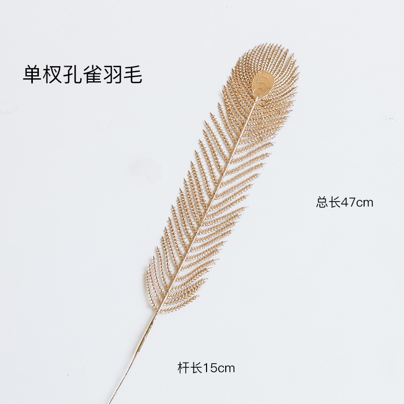 단일 공작 꼬리