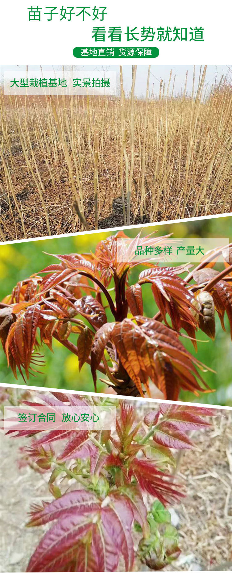 O1CN01uypNxe2CJ4KkZwD6J_!!2970