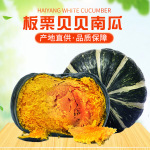 批发板栗贝贝南瓜老粉糯香甜新宝宝辅食支持代发迷你瓜迷你南瓜