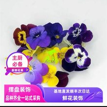 ���r��ɫ�������r�b����;Ƶ�[�P���ݛ����b��c�Y ����b�