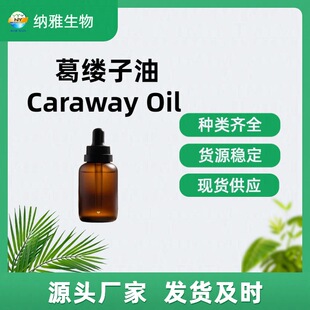 ������� ��|���� Caraway Oil CAS 8000-42-8 Ʒ�|����