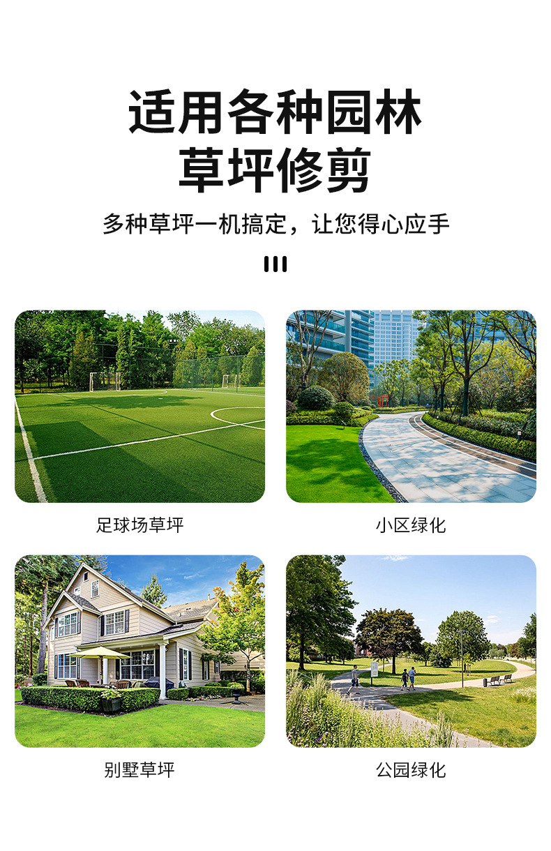 模板红背137-4.jpg