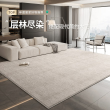 地毯客厅现代简约家用沙发卧室防水免打理地垫隔音定制极简床边毯
