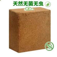 ͨ��Ҭ�u��������|���ܷNֲ�߲˸��ݰl������|Ҭ��Ó�}Ҭ�u�I�B