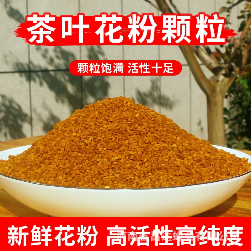 茶花粉喂蜂蜜蜂饲料茶叶花粉养蜂喂蜂花粉粉末 颗粒蜂粮山茶花粉