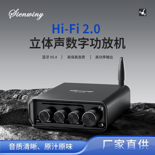 Ys-Lp3 Two-Channel High-Fidelity Stereo Digital Power Amplifier Imported Original Chip Tpa3116D2