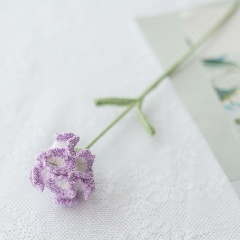 완성 된 그라디언트 라이트 퍼플 카네이션 단일 잎 무작위