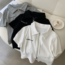 W؛PoloItŮn̿pݼyӡ_