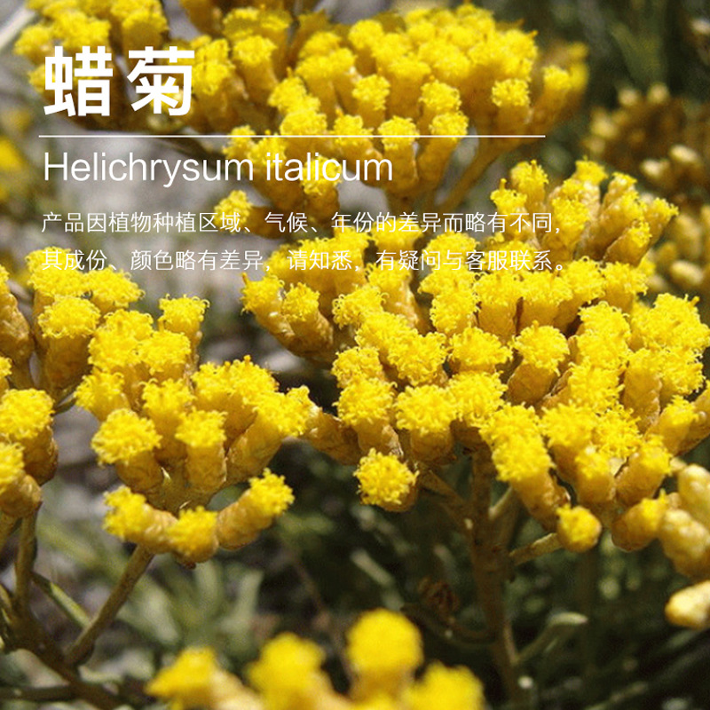 ���մ�¶ ���������   ���մ�¶  ������ȡ��  ��¶ԭ������