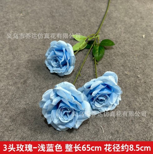 3 다이아몬드 로즈-블루