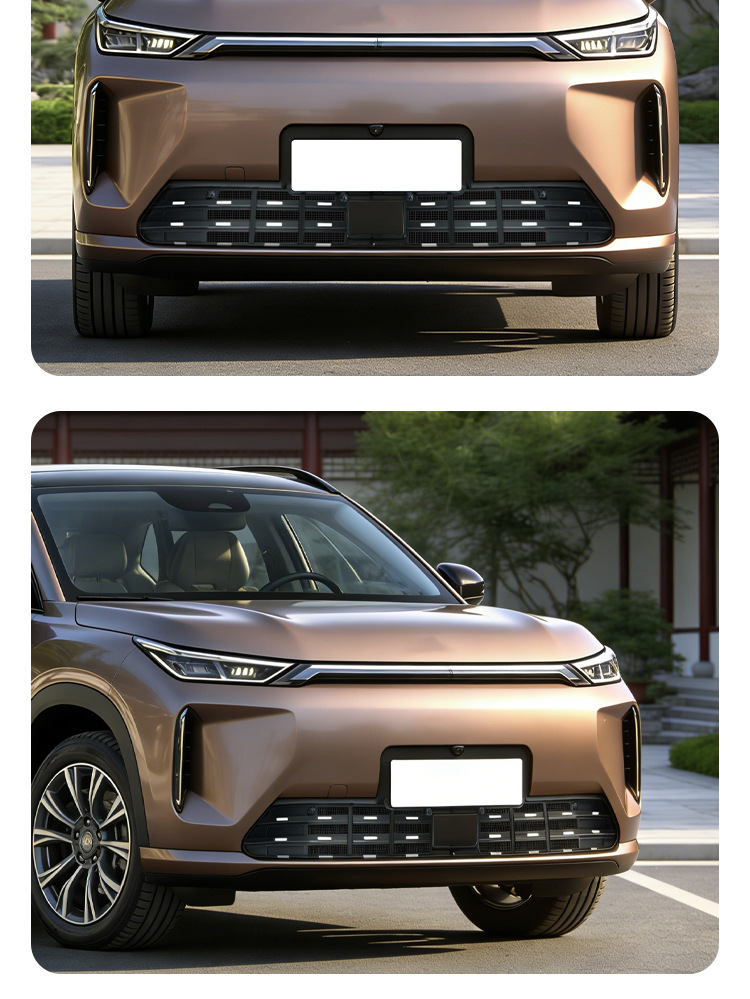 Suitable for Aion I60 Insect-Proof Net Snap-On Front Grille Water Tank Protective Cover Anti-Insect and Anti-Lint Modification Accessories