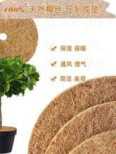 Ҭ�؉|�A��Ҭ�ؽz�|����|ƽ����݉|Ҭ���o���|�ɳߴ��o���|����