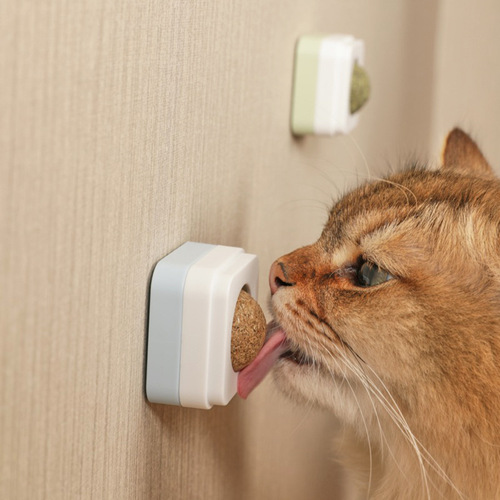 Fluid Animal High Ball Catnip Wooden Polygonum Gall Fruit Cat Toy Cat Toy Ball Self-Happy Rotating Cat Candy