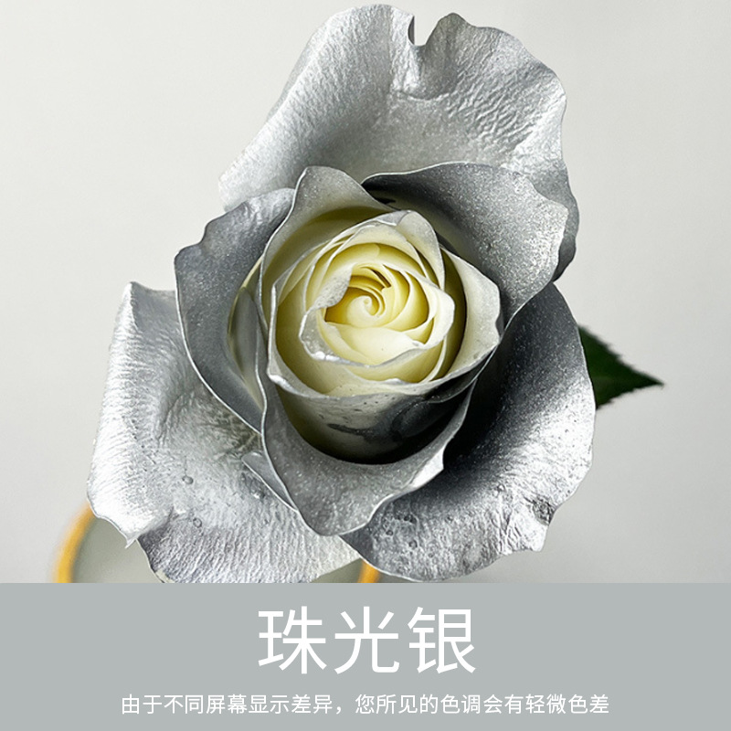 Material de embalaje de flores frescas Agente de tinción en aerosol de flores secas Salsa de ciruela negra Pintura en aerosol de flores Pintura en aerosol de flores Agente de color de flores