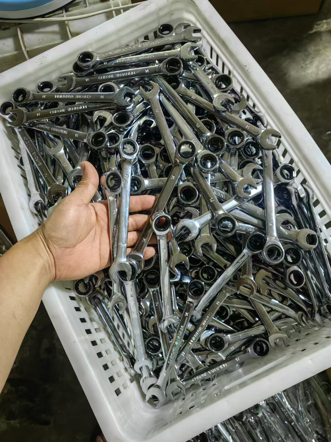 微信图片_20240813102442