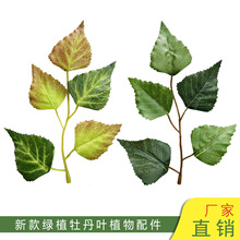 �羳ĵ���~�����Ƭ�Gɫ���~��ɫ�����z���zӡ�ٻ����~ĵ���U���