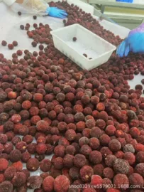 花菜类;速冻果蔬类