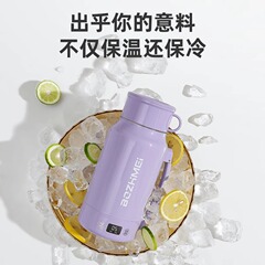 烧水杯电热杯大容恒温加热电烧水壶保温三八节烧水壶旅行专