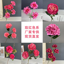 �¿�õ�tɫϵ���滨�Ҿӿ͏d��ה[������c��Y�Ĕz���߻������l