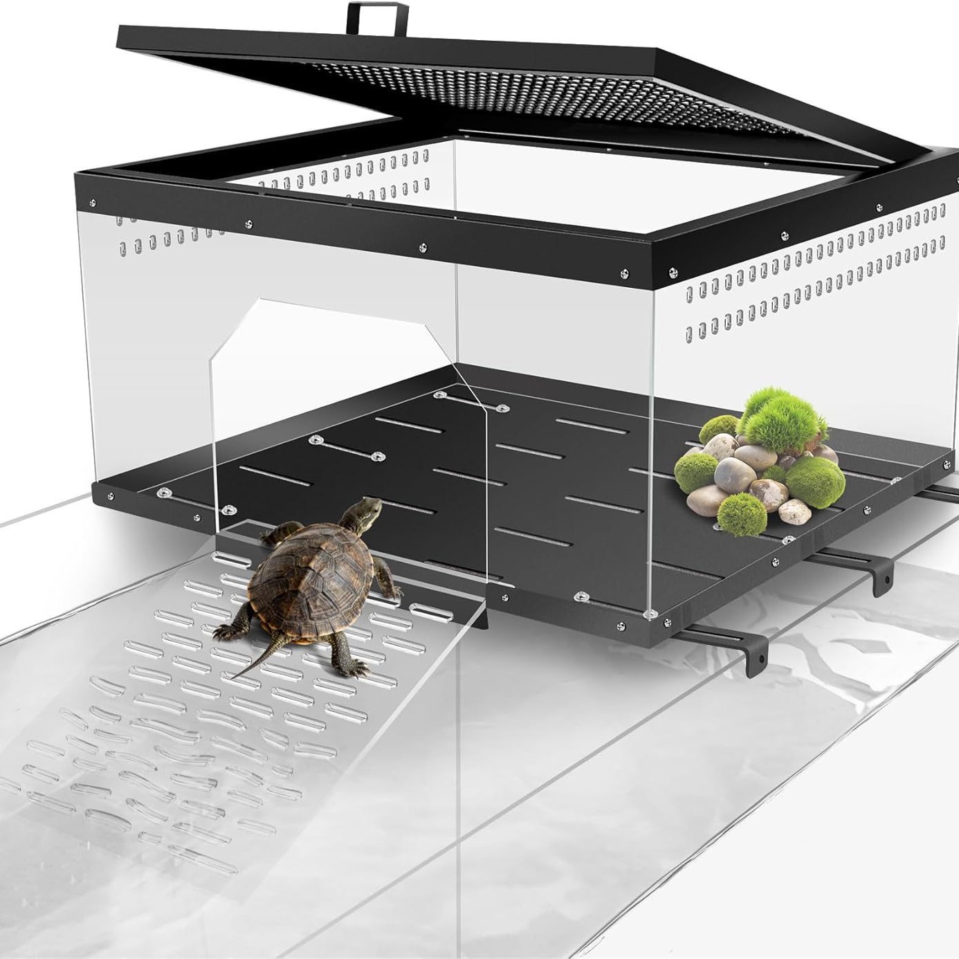 Acuario Ecológico para Tortugas de Acrílico con Plataforma de Escalada image 4