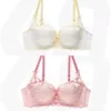 Yellow fuchsia set