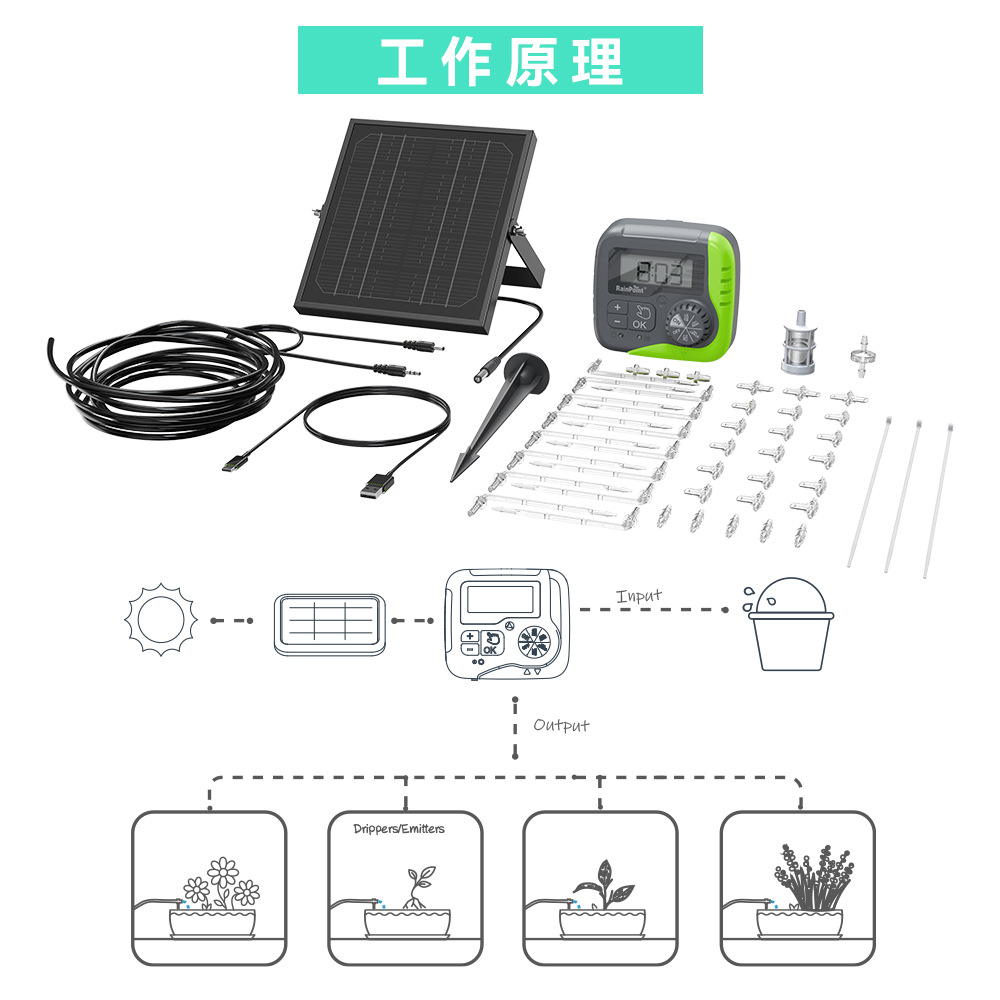 画板 1 拷贝 10.jpg