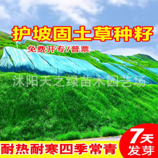 ��ƺ�N�ӹ������R�����ļ���ͥԺ��̺��Ƥ�G���������o�¹�ľ����