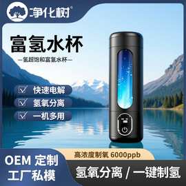 工厂直营电解水素水杯富氢杯展会销礼品富氢水杯水素杯礼盒装批发