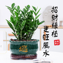 ���X��������ؔ�{��ֲ���҃ȿ͏d�k��������Gֲ����ͶY�����辰