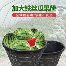 �j���̖���Ͽ��F�z�j��䓽z�Ӻ�Ϲ�ˮ���߲˻@�O���}����������