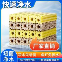 ~^VʯӢ{׼մɭhמVD؃ˮV