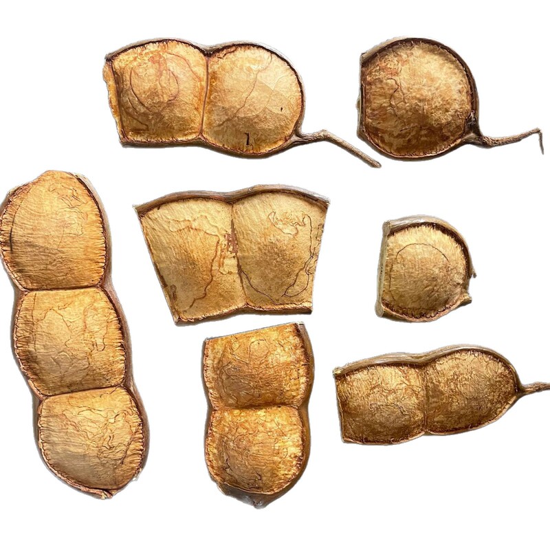 Yunnan Keting Soybean Pod Doll, Handmade DIY Keting Pod Doll Materials Yunnan Keting Soybean Pod Doll, Handmade DIY Keting Pod Doll Materials