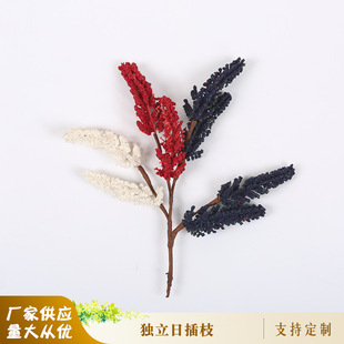 �羳���檚���ղ�֦�Ҿӷ¾Gֲ�ٻ��Ҿ��b��JȔ�L�ٔ[����c�{��