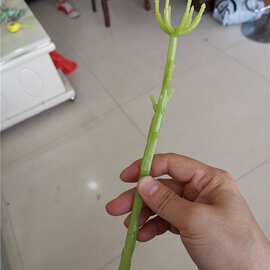 厂家供应仿真花枝头 25厘米6头绣球花杆 婚庆手捧花塑料花枝配件